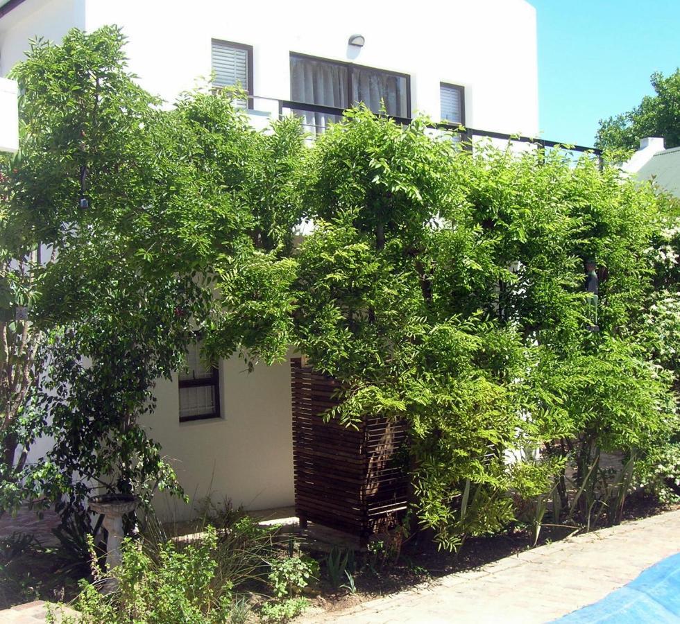 16 Rhodes-North Self Catering Apartment & Studio Stellenbosch Buitenkant foto